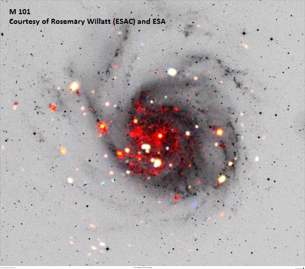 M101